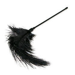 Easytoys Black Feather Tickler - Šimrátko